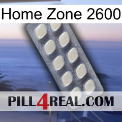 Home Zone 2600 08